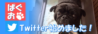 Twitterはこちら